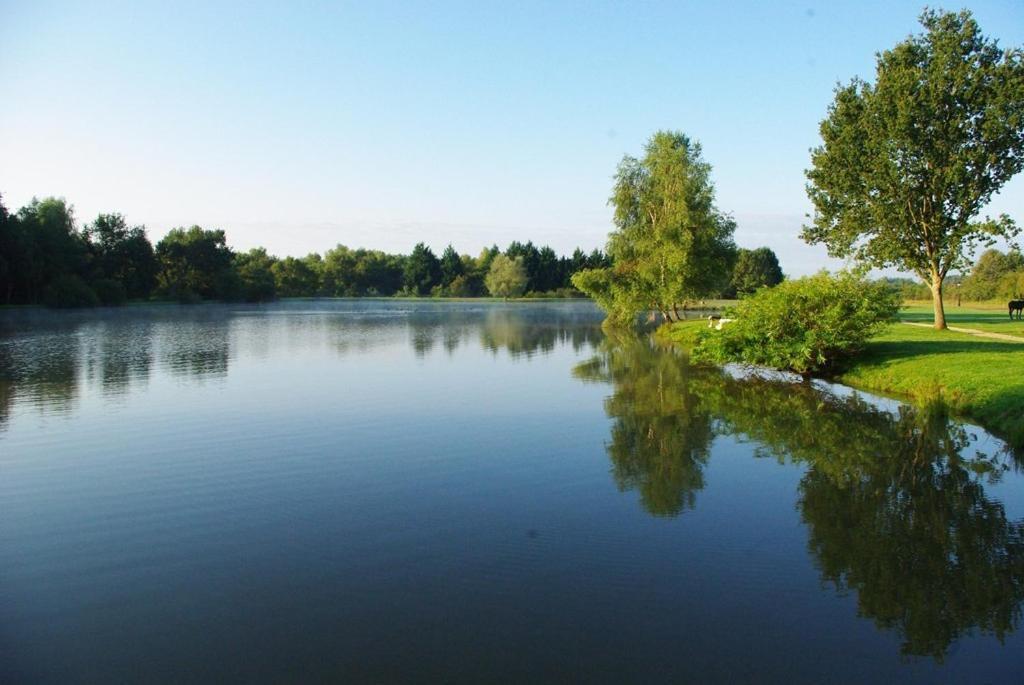 L'Oree Des Chenes, The Originals Relais La Ferté-Saint-Aubin المظهر الخارجي الصورة